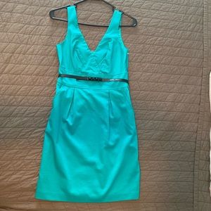 NWT Express knee length dress